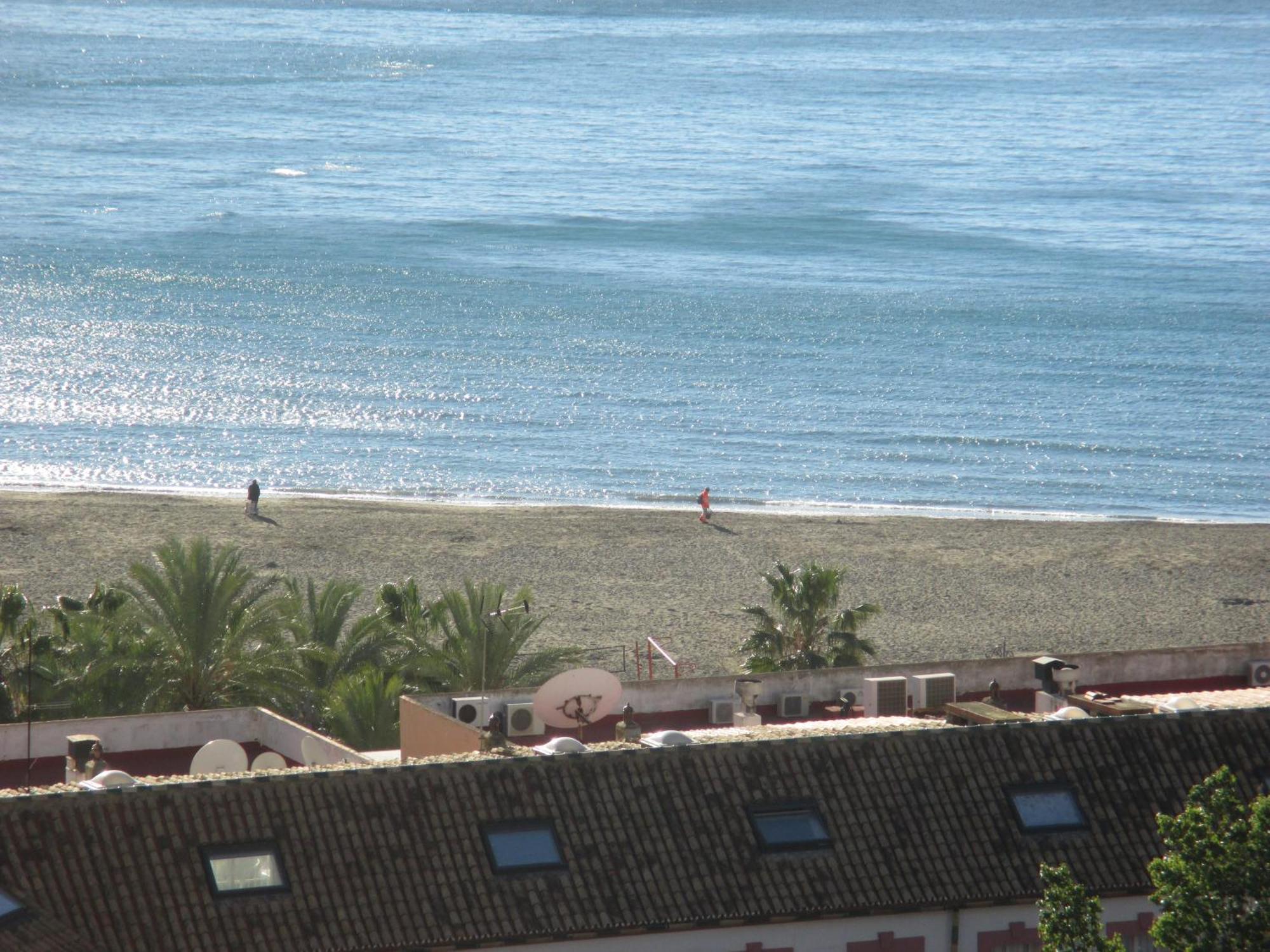 Apartment Beachfront Diana 2